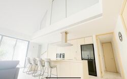The Holland Collection (D10), Apartment #496706061